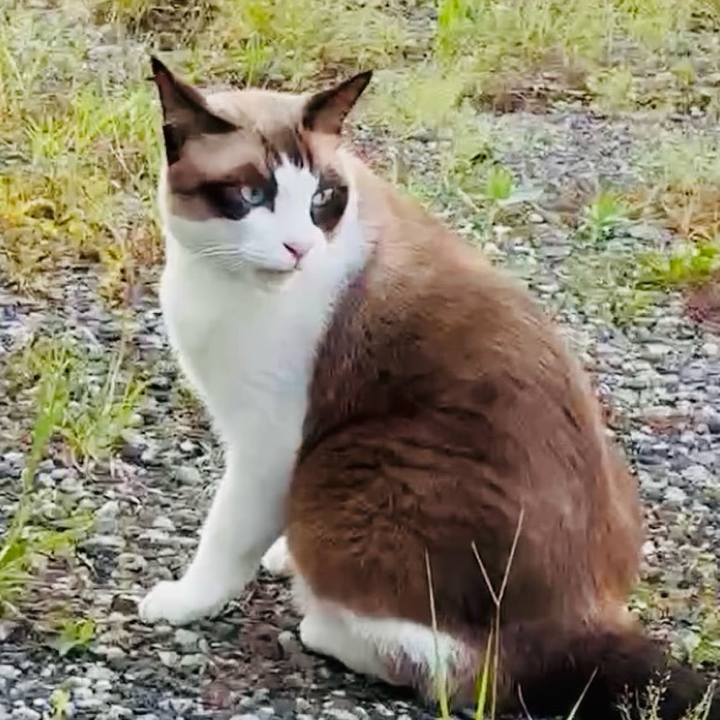 D67ca883 5477 4076 a77f 39a03d431ad5 1759046444183