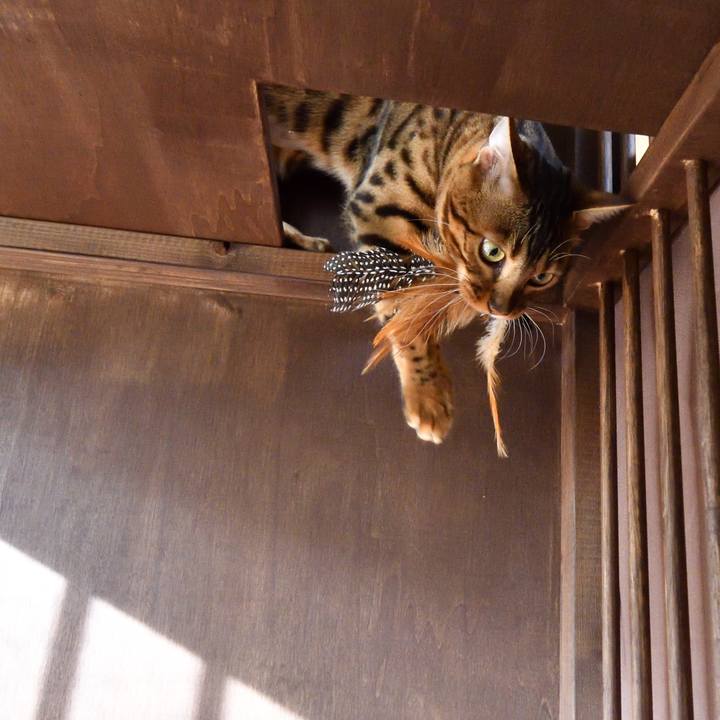 D67cb517 b67f 4e83 a104 e2c625c7b424 1511664284103