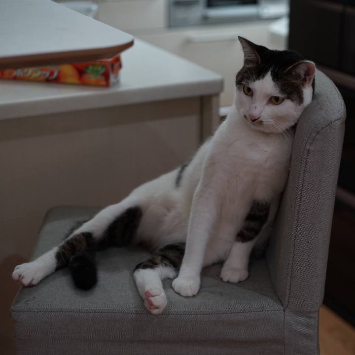 D67cd1d0 dc58 4963 baa8 41afd35d735a 1533079848285