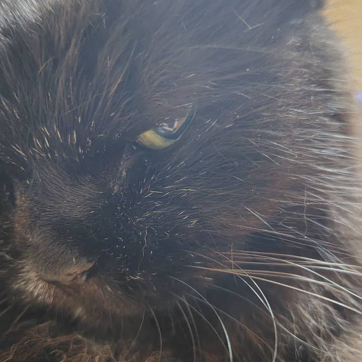 D67cd9c4 6e6b 494c a1f2 024812deee8c 1758372782888