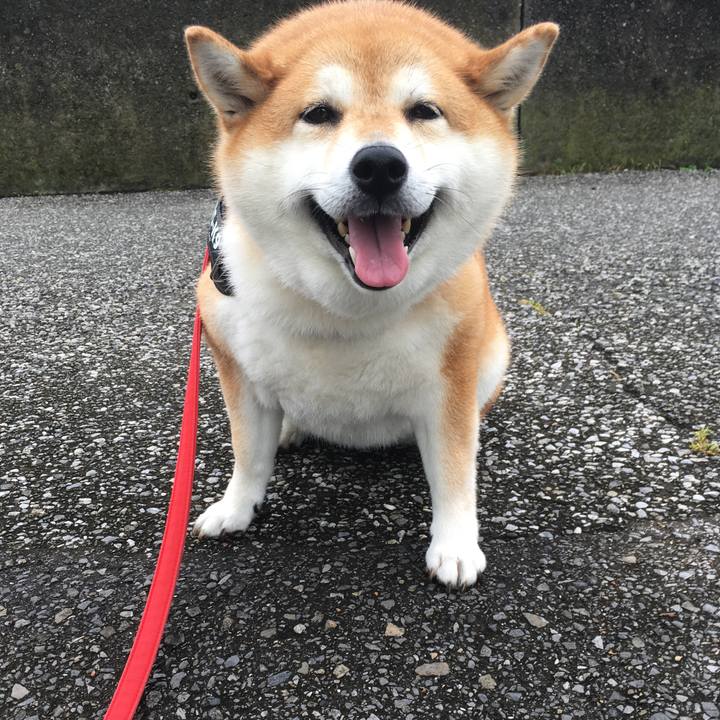 D67d241f 2b57 416d 8704 ec3f2ae34aac 1594338353327