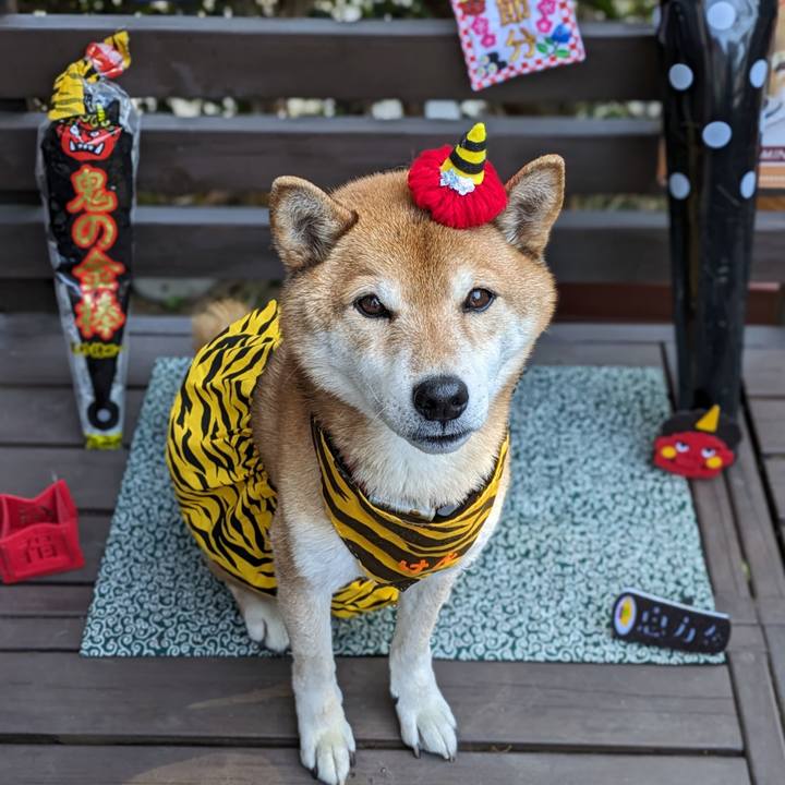 D67d2c26 0e86 4808 ba6a 831336b22359 1706928326486