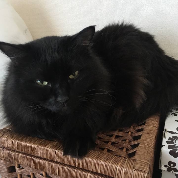 D67d6ceb e559 4773 9aa7 b6ca2c1d732c 1542674152222