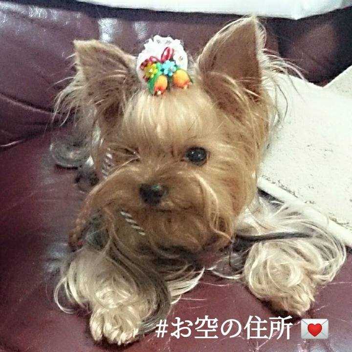 D67d6e20 96ba 4753 9334 9ac694c3fa87 1611662208471