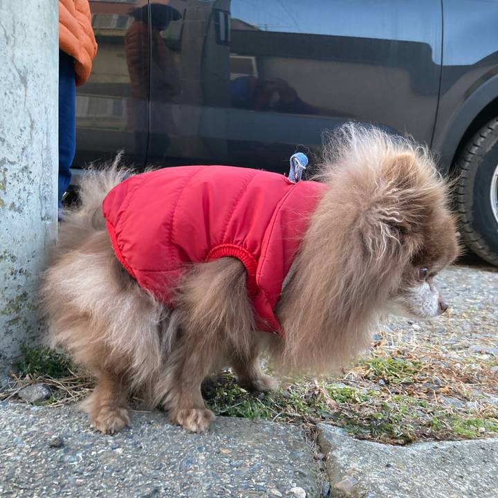 D67d7382 18ce 4a9e ba62 ff6b6f6609ab 1709164841775