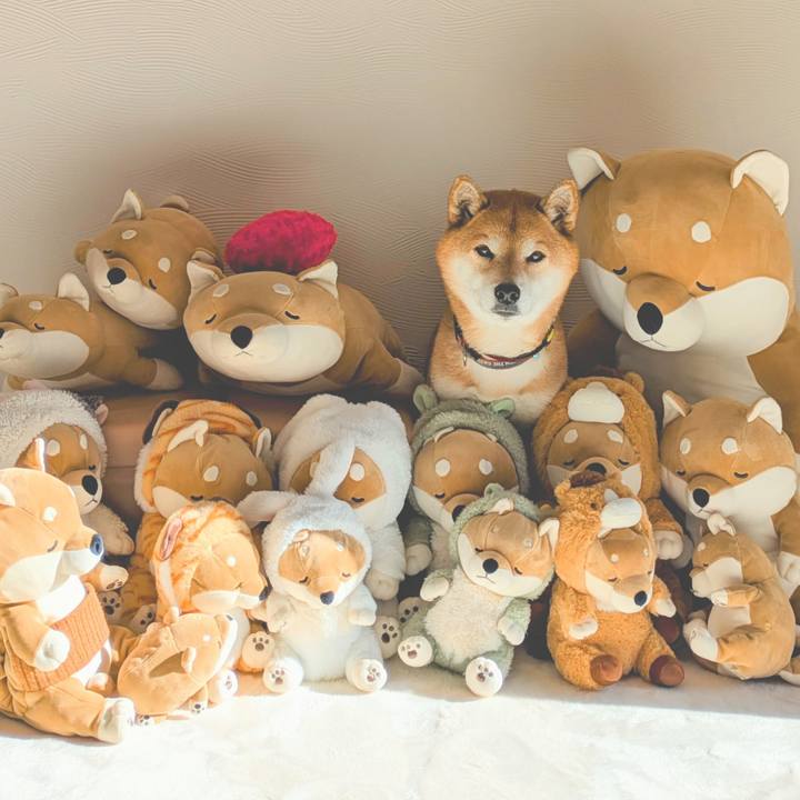 D67db684 3f98 4aa9 9eb9 b7558e98cd4e 1768189811571