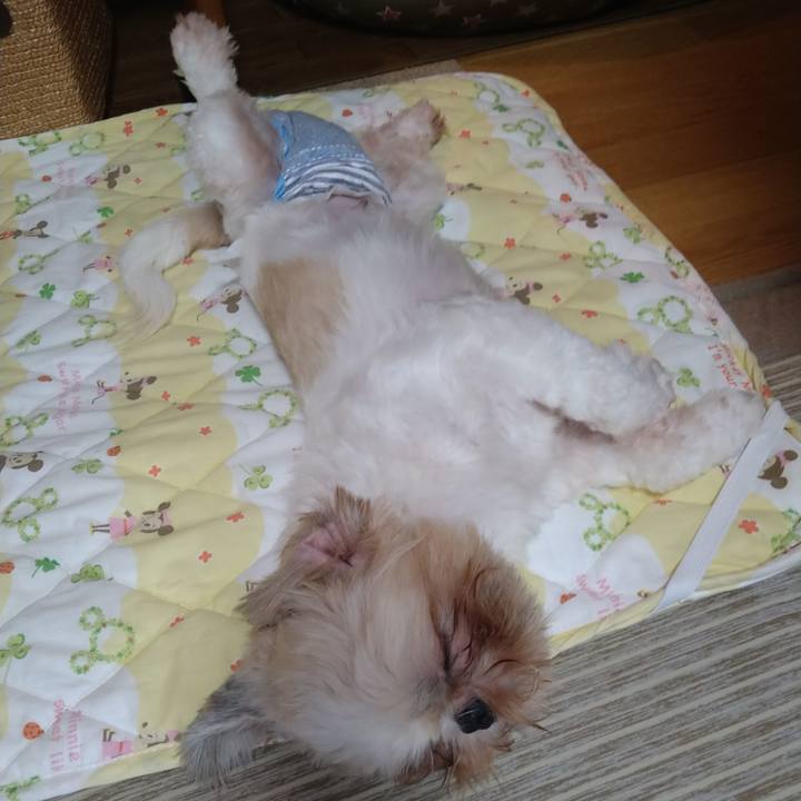 D67dd429 ec3c 4ed6 b3d1 46bd1f77aedf 1599354327825