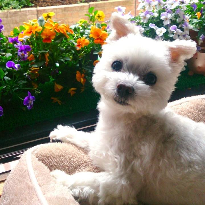 D67df7d2 5032 4382 bf2a 6350c2d9b6f0 1513903722543