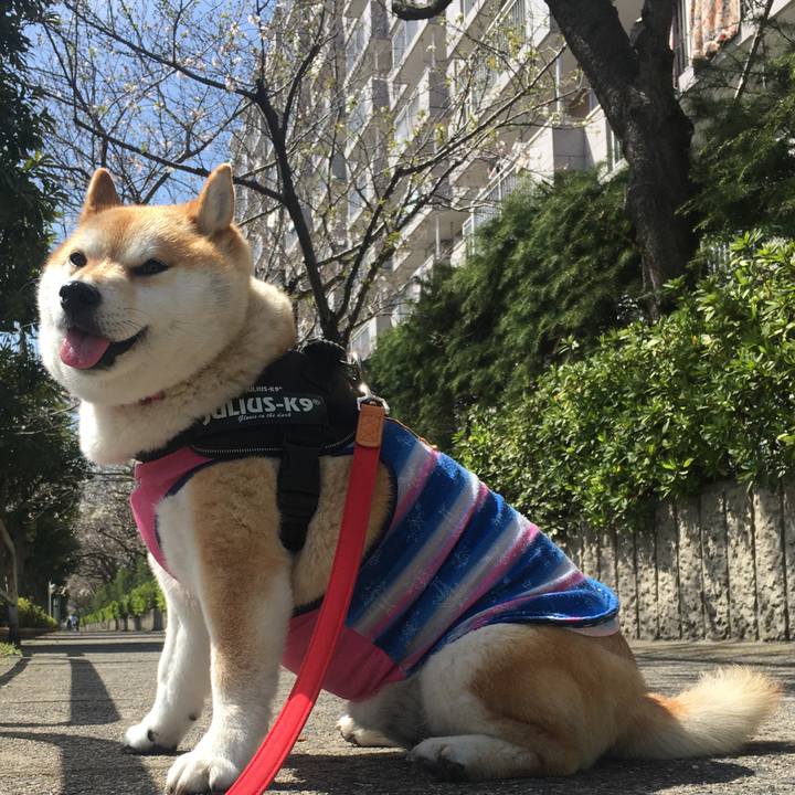 D67e2411 54b4 431b 9a27 f5ce14091f5e 1584762803264