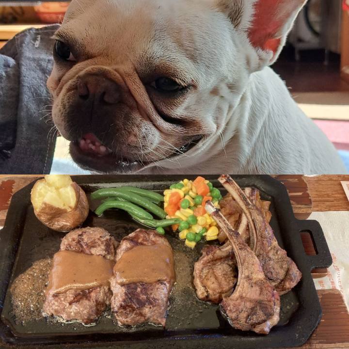 D67e37bb 498a 489b 8d90 57f99fad99d8 1697495912560