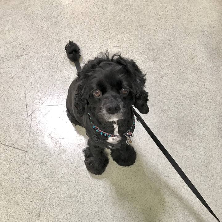 D67e6fe8 e2ef 4ebc b04e 958062bf221b 1560509024592