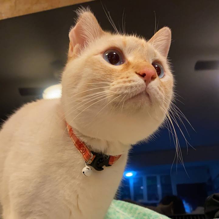 D67f285e 4d24 4851 8cfe 2be5d06fb9d0 1741492834798