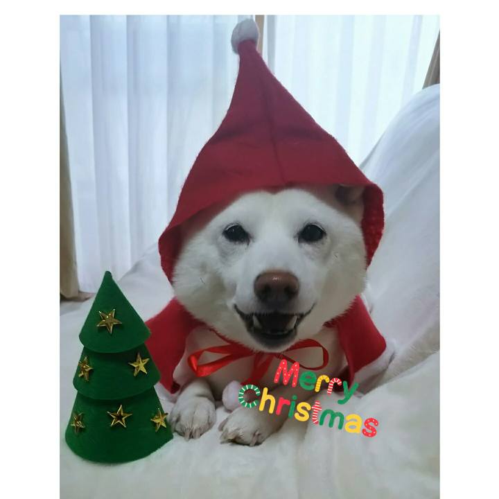 D67f3ded f9d4 404f 8562 8a9ea26b8e0e 1576982460690