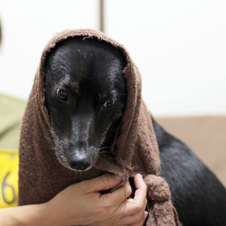 D67f4671 edec 48af a02c b135eacbadac 1539942578772