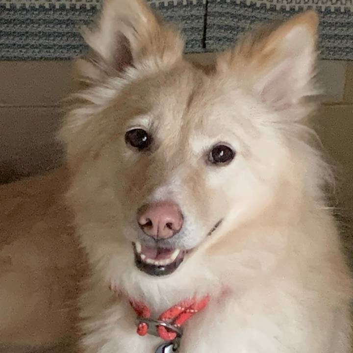 D67f6fc2 83c6 4891 a2c9 f115da564e7c 1624268966319