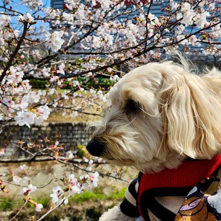 D67f83a6 8194 4be9 a2d5 7ba977eff1d1 1774328541645