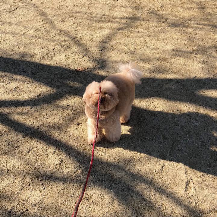 D67f8dbe 9858 4d1c 8ae2 dbcb6684bcc1 1512122946077