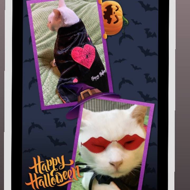 D67ff6b1 a4b4 4fe9 b41b 223b201375ec 1635664406985