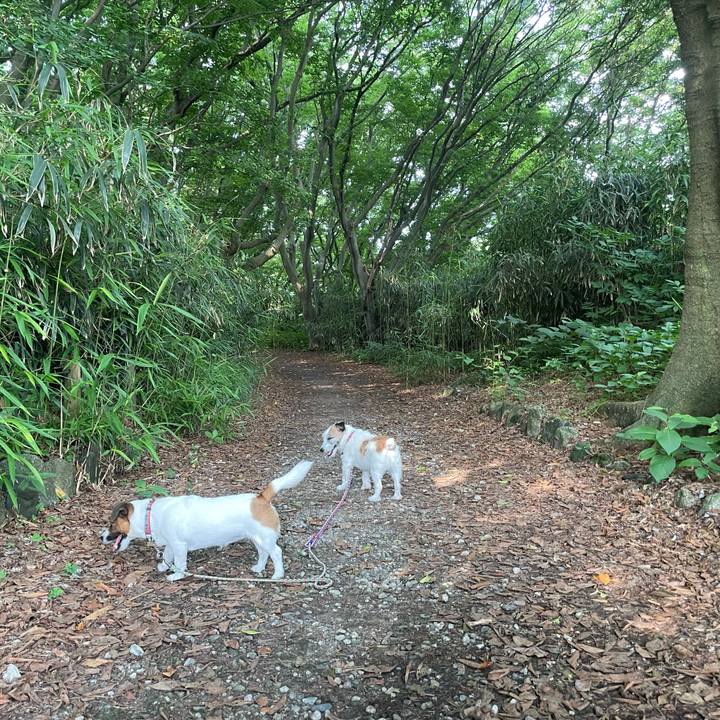 D6800bd5 4fba 44e4 a61d ff5fcc4530b4 1751758426010