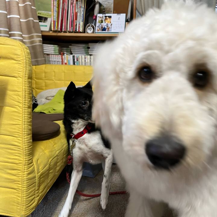 D6806d51 05f7 4216 bacf 36c738bbd235 1676203947544