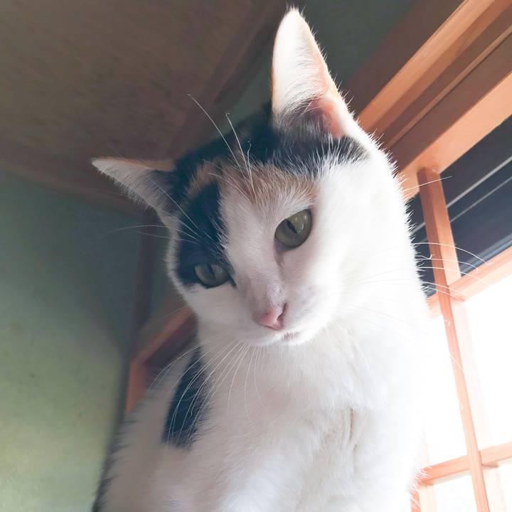 D68078e7 9fcf 4a9c 85c4 8efabe3ac9fc 1513156438117