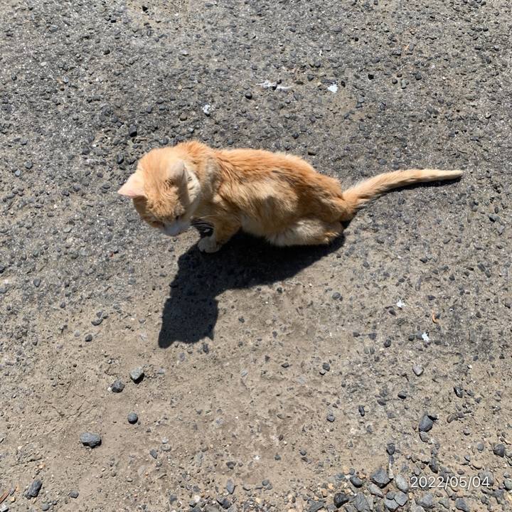 D680cb08 82e9 4722 ac05 65f6fb0c4438 1651636855363