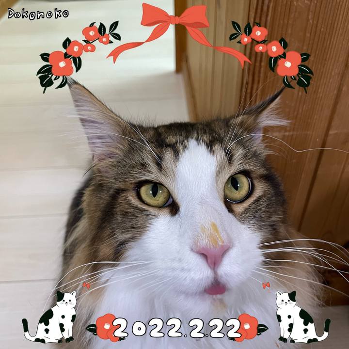 D680e001 248f 4a6f a670 dd5eadd3140c 1645522424067