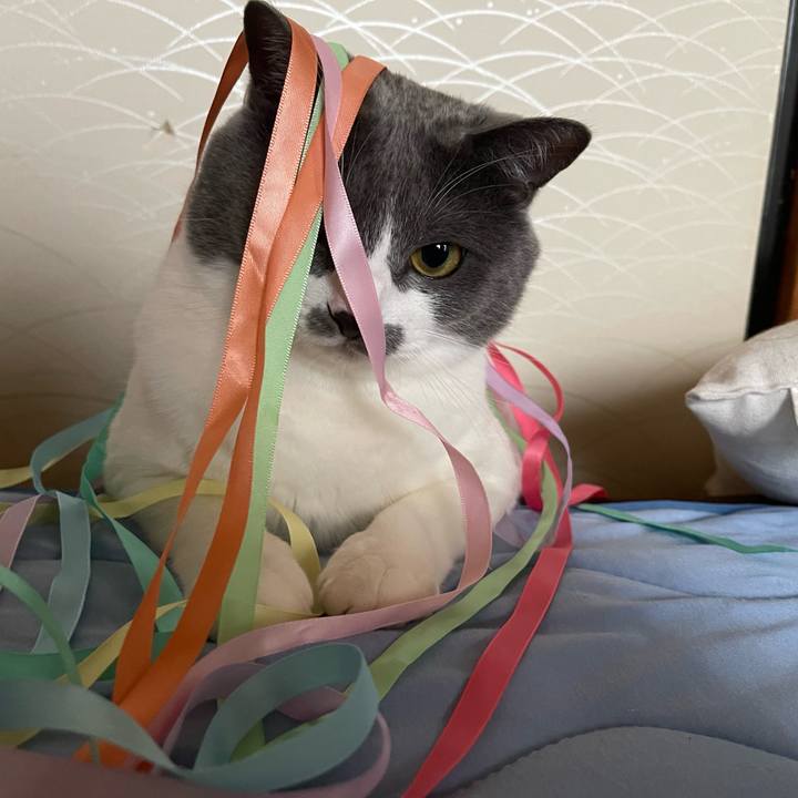 D681064c 8aa8 4939 bee3 c172ba7e681f 1659689418643