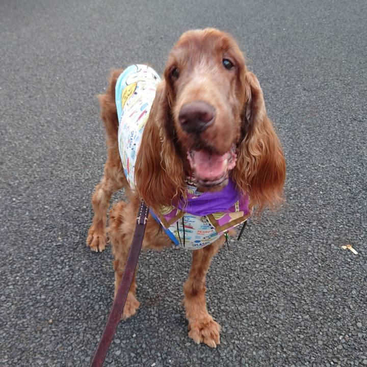 D68106b6 3fa9 4055 9567 7c13cf6cfafe 1661651268784