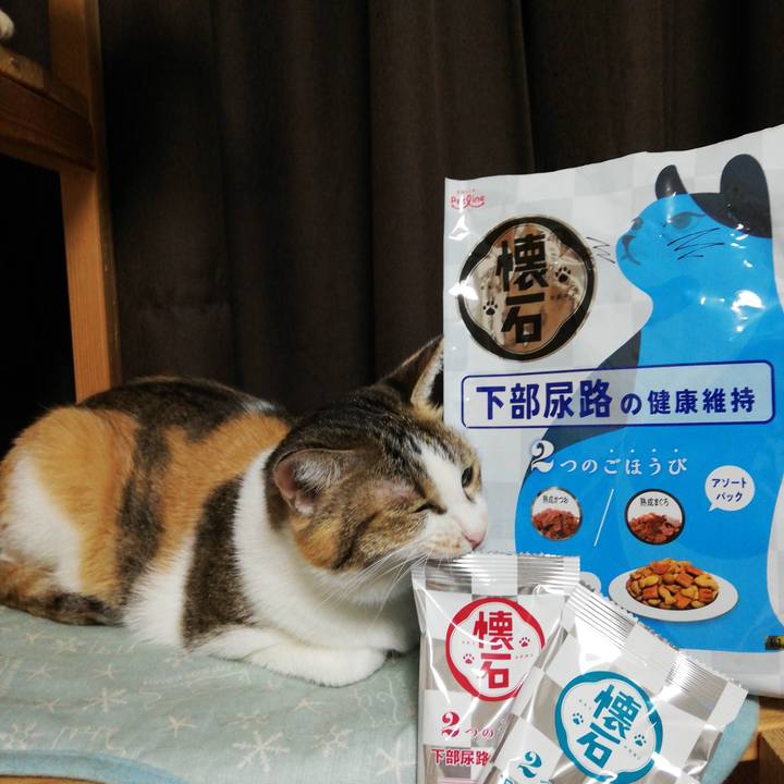 D68181ff 9120 4b36 b26b 17650213e7cf 1727087449186