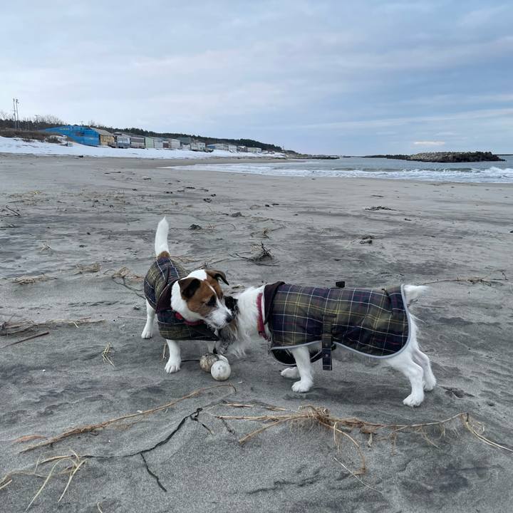 D681b533 c998 4f8e 8d58 62cf2ba71917 1770163421376