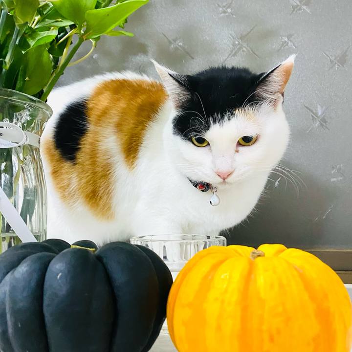 D681c5ae d6fa 4341 b536 bde898bd8d6b 1674558958748