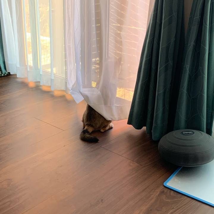 D681cf24 3cc5 452d 94a0 37cd4acfa707 1620942358920