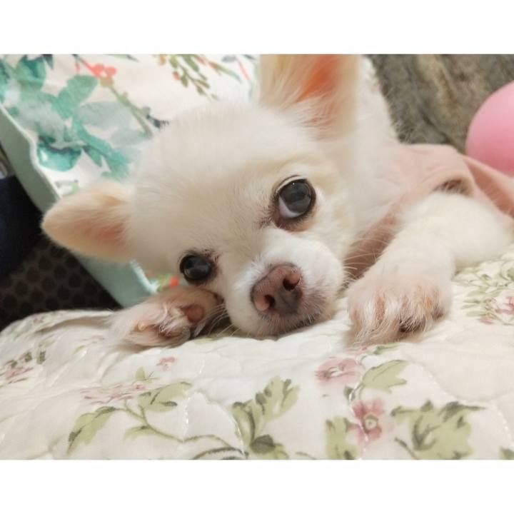 D681f7a7 484e 413d 845e 4d9d461e623f 1632400862486