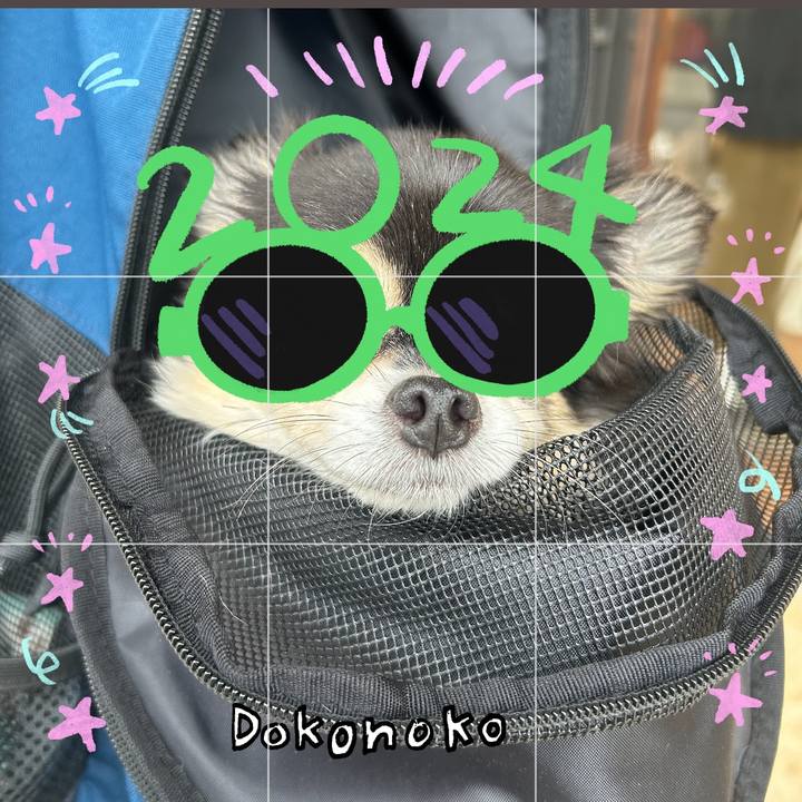 D682546b d194 4b6f ba43 ca6364bc1c42 1704100741968
