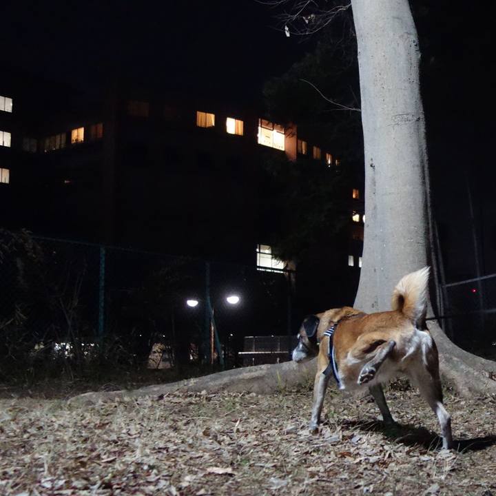 D682625a c029 41d2 afba 635a2c5f920e 1546771939947