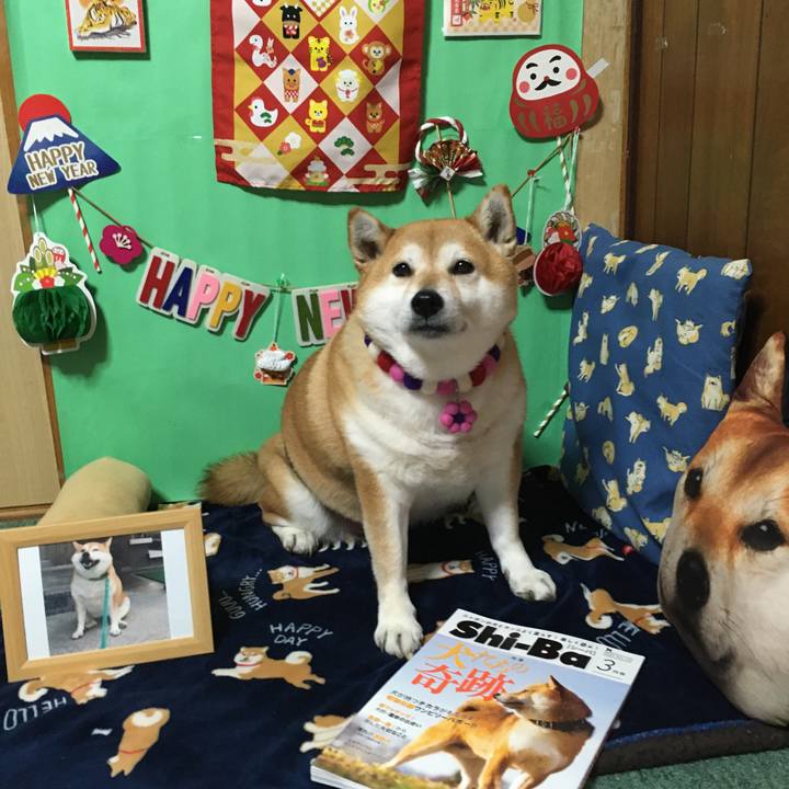 D6826377 611f 4a7d 95a1 c4288ee09523 1643876747356