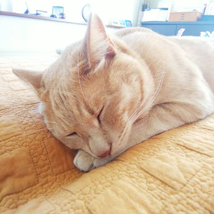 D6827367 0bb8 492d a075 8af592a0da1b 1596257852057