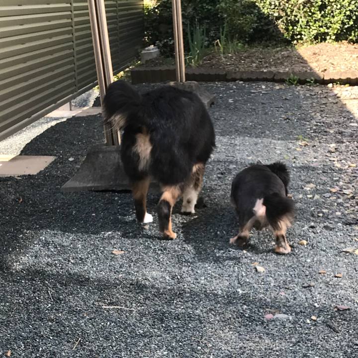 D682a30f 9760 46f8 b5dd cb867d0e114c 1525044639193