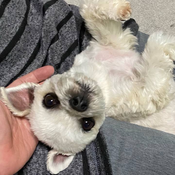 D682c1f7 ce5d 429a 812f 11f0dbff7c90 1611231032752