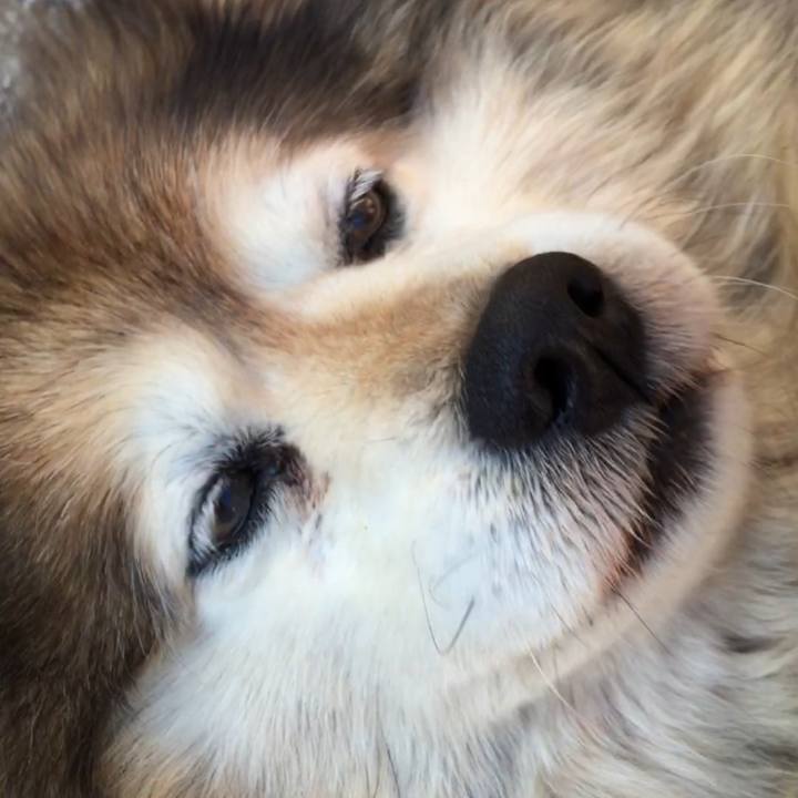 D682d079 119d 4b1a afd4 d1bfd2f97e9a 1601367324519