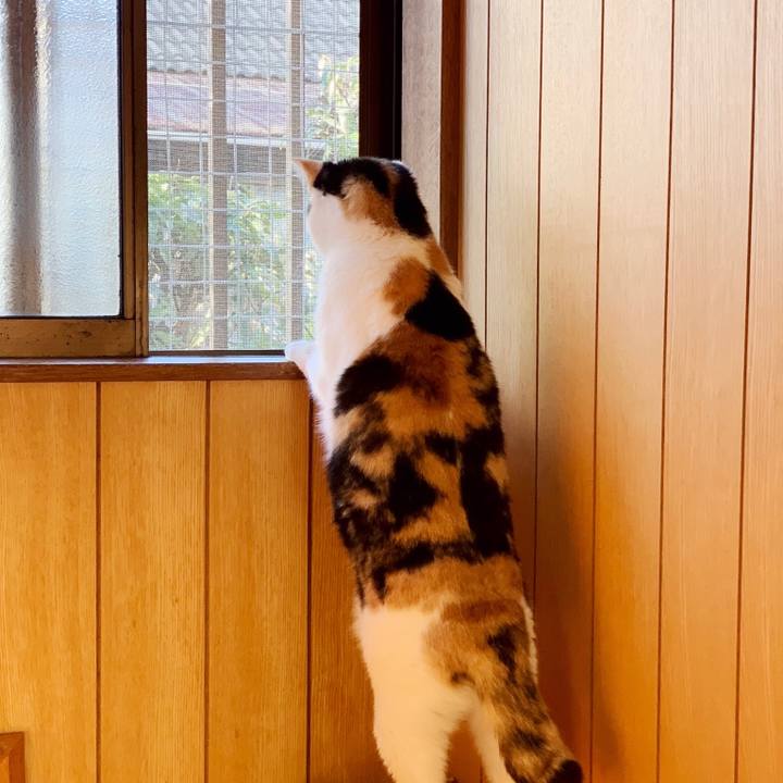 D682d8bf 565e 439e 8b55 3ae664e602d0 1552269893362