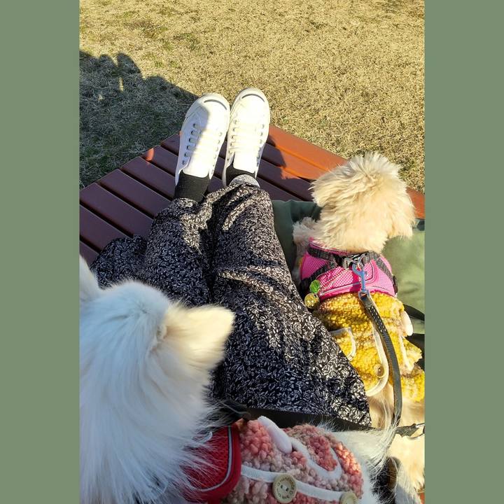 D682f42b 0591 4ac6 a134 8f3a9db5052b 1641103109349