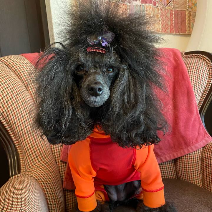 D682f7c0 4e88 4b50 9cf3 464f44c5c3a8 1666490668627