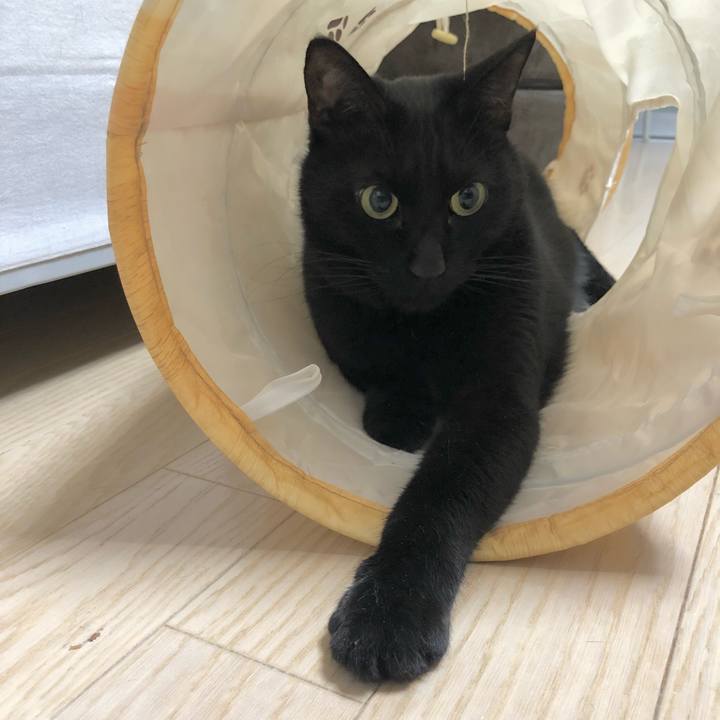 D6830721 0828 4f58 ad6f e22bd0996541 1611409028731