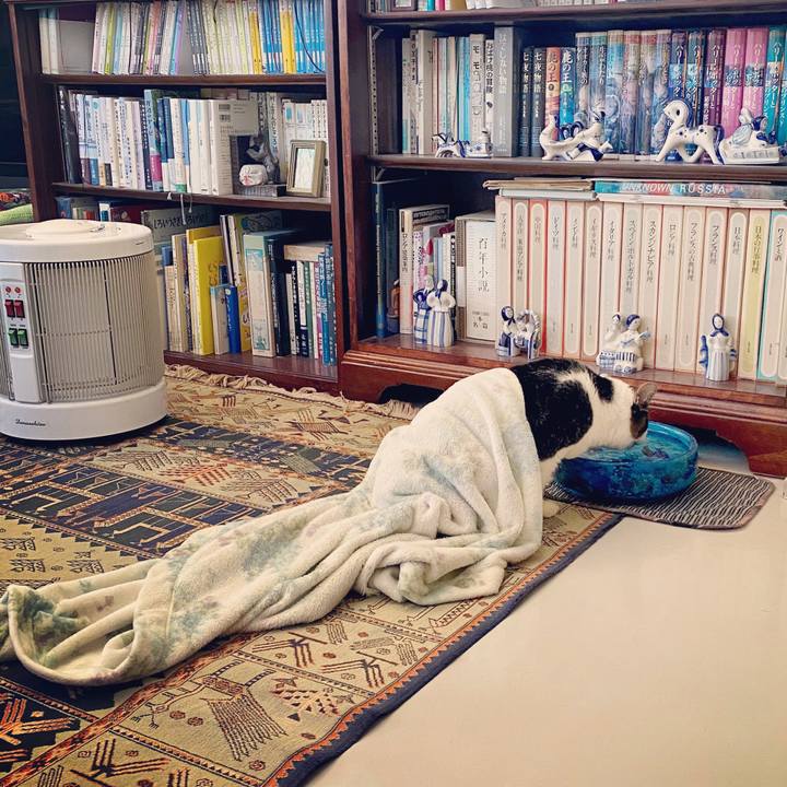 D6834a09 9686 4ee5 8ddb 4d36b7ec6449 1578556642214