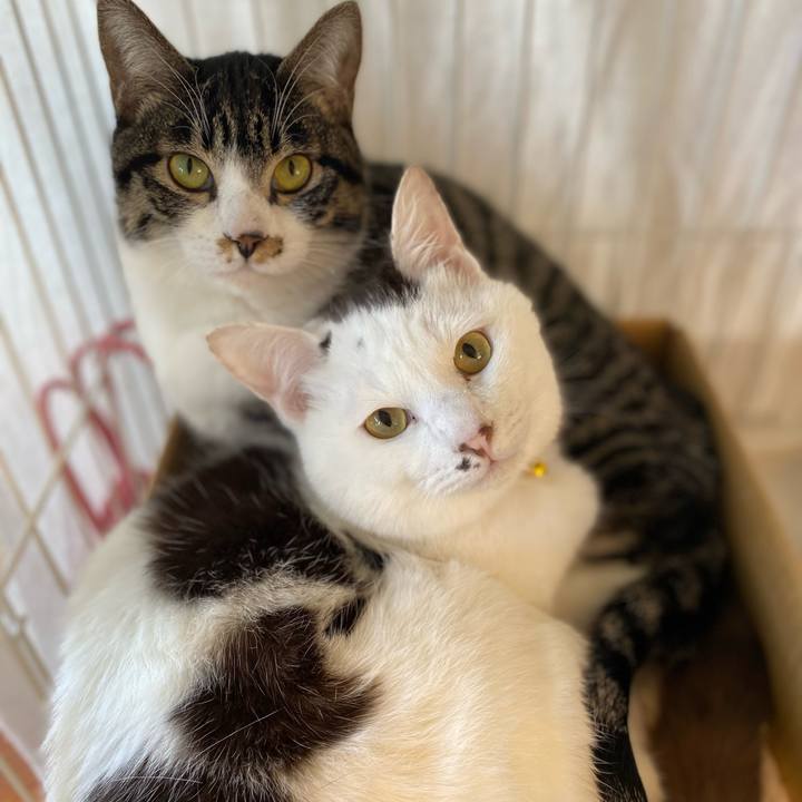 D6834bc3 89c1 4a86 b49d a18076beb64e 1705117567546