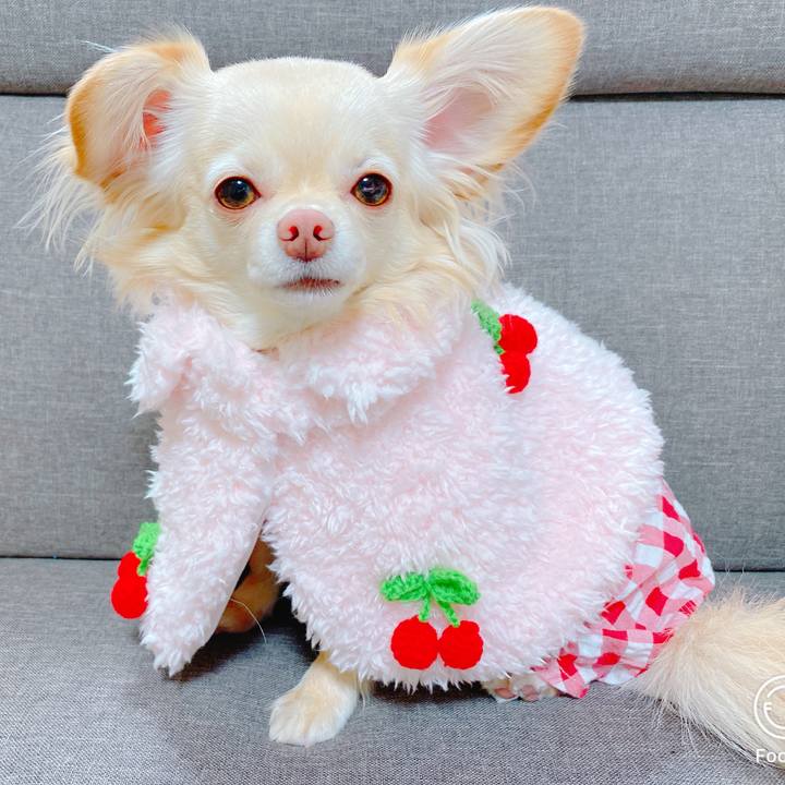 D6835fdb a3e5 433e b9a5 89a26fd270c5 1642510429824