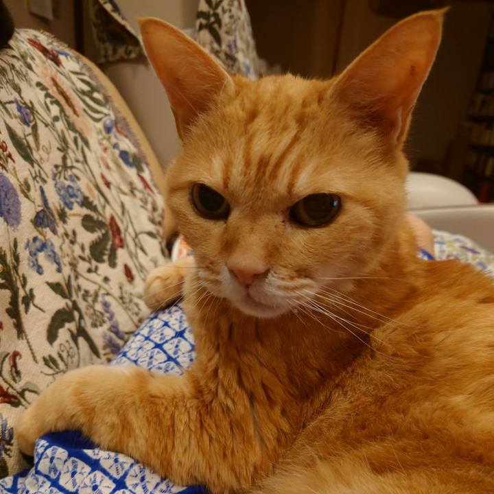 D683cf01 cefb 4834 8165 3f7736e209a4 1727178857721