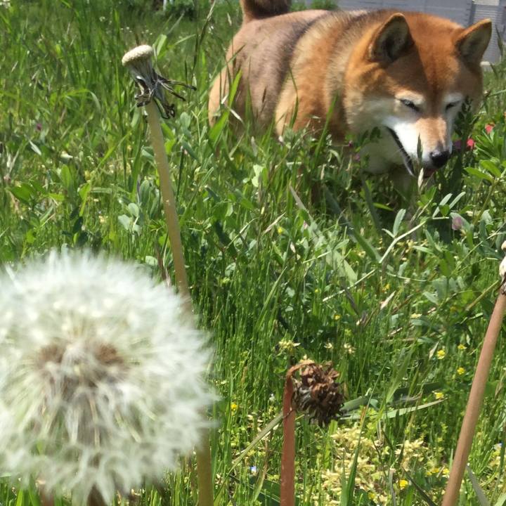 D683d108 b034 4df6 9c09 a1d3690e9dfb 1587868498403